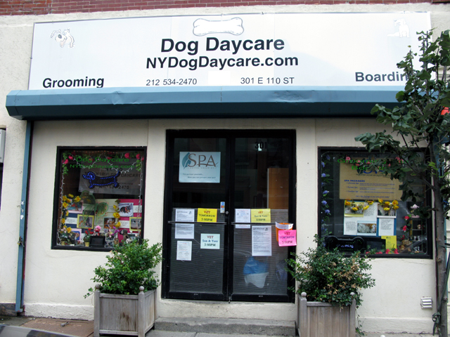 Photo of the front of the New York Dog Daycare storefront