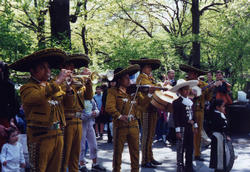 Picture of Mariachi Band